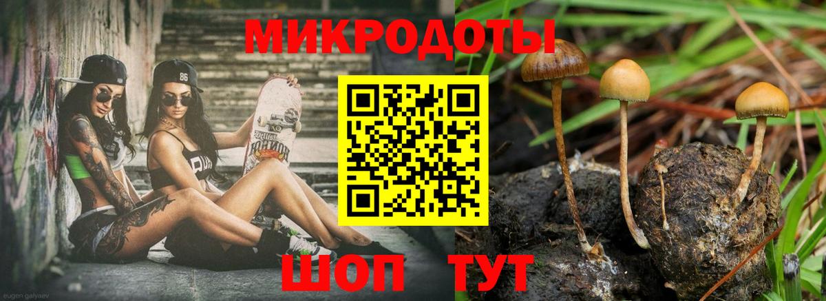 цена   Псилоцибиновые грибы Magic Shrooms  Вход с VPN  Новоалтайск 